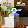 Katchy Duo Indoor Insect Trap with Scent Pod - Fan