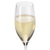 WMF Champagne Glass Easy Plus, Crystal, 26 x 10 x