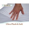 Pillowflex Set of 2 (12x24) Premium Polyester Pillow Inserts -