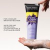 John Frieda Violet Crush Acondicionador Morado, 245 mL