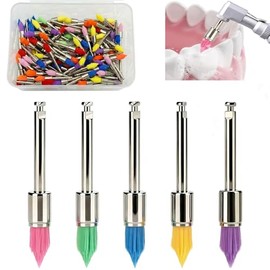 Cepillos de Pulido Dental, Cepillo para Pulir Dientes de Nylon | 100 Piezas Prophy Brushes Desechables con Caja Organizadora, Accesorios Dentales