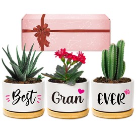 Giftasy Gran Gifts, Gran Christmas Birthday Gifts, Best Gran Ever Succulent Pots Gifts for Gran from Grandchildren, Unique Garden Gift Ideas for Gran on Christmas Mother's Day, Presents for Gran