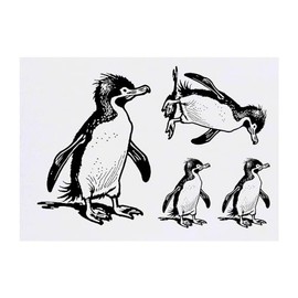 4 x 'Southern Rockhopper Penguin' Temporary Tattoos - Water Resistant, Skin-Safe, Non-Toxic Transfers, Mixed Sizes (TO00071584)