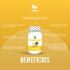 Jengibre 100 Cápsulas Días Antioxidante Antiinflamatorio Regula Peso Estabiliza Tus