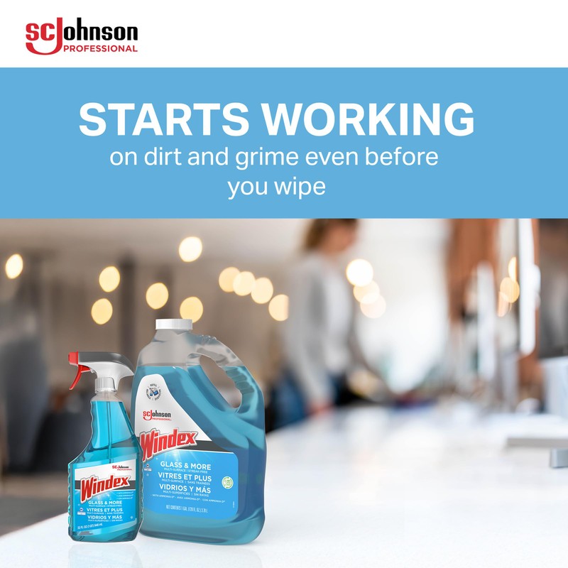 SC Johnson Professional Windex Glass and More Multi-Surface Cleaner, Windex