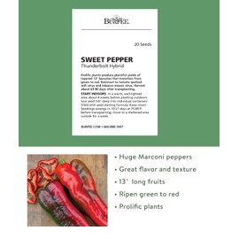 Burpee Thunderbolt Hybrid Sweet Italian Roasting Pepper Seeds | 20 Non-GMO Seeds | Vegetable Seeds for Planting | Grow Your Own Fresh Bell Pepper Live Plants
