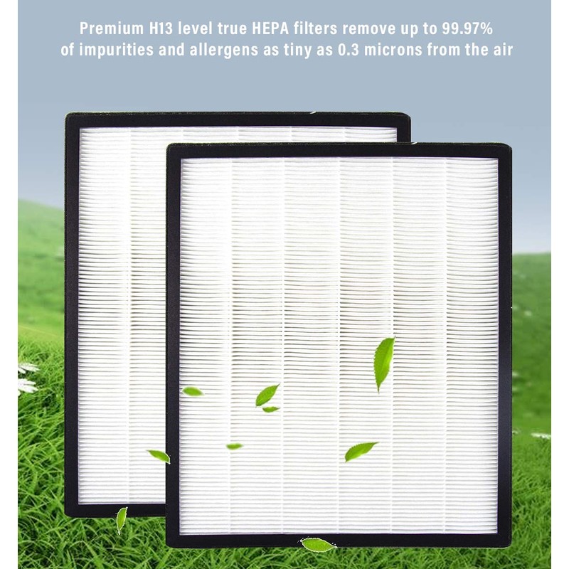 LBLVBNEWD 2 Pack True HEPA & 2 Pack Activated Carbon