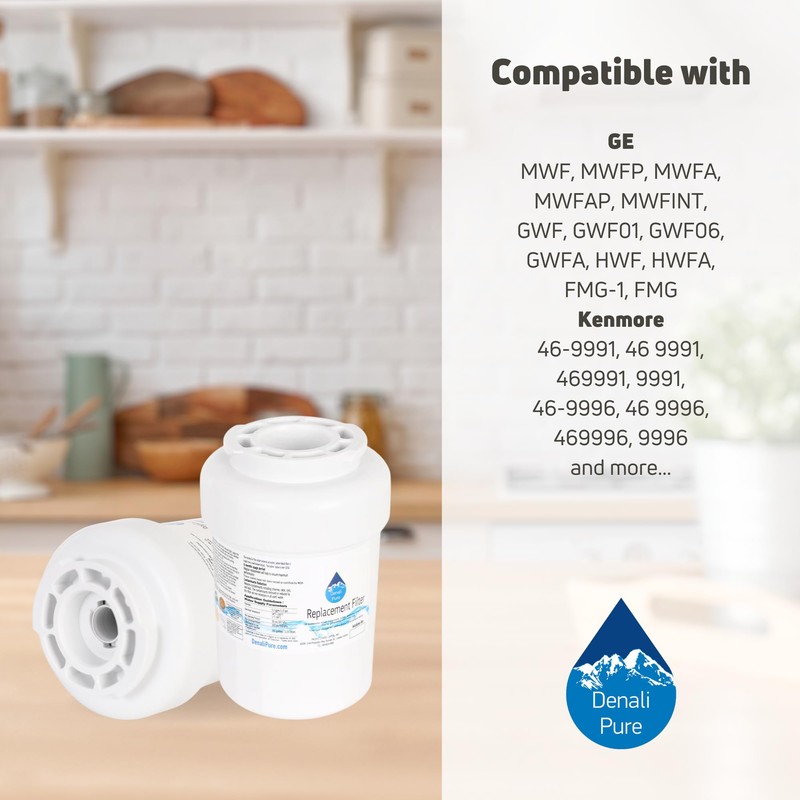 2-Pack Replacement for General Electric HSM25GFRASA Refrigerator Water Filter -
