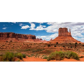 Carolina Custom Cages Reptile Habitat Background; Monument Valley Merrick Butte, for 36Lx18Wx36H Terrarium, 3-Sided Wraparound