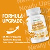 inGreens Turmeric Curcumin Supplement 2275mg, 95% Curcumin, High Absorption Liposomal