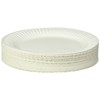 Empress Uncoated Paper Plate, 9 Inches, White, Pack of 100