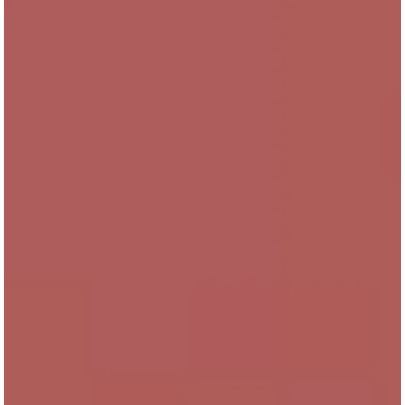 Cyzone Labial Liquido Matte Studio Look