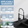 DJS Kitchen Faucets with Pull Down Sprayer Matte Black &