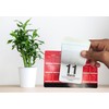 2025 Desktop Daily Tear off Calendar Free Standing