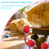 Interactive Cat Dog Toy Ball: Indoor Automatic Moving Smart Rolling