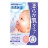 Barrier Repair Seat Mask, Soft Type, 5 Pieces, 2016