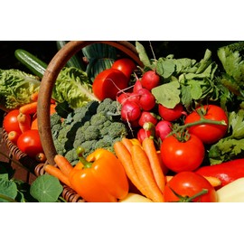 Set of 35 Premium Variety Herbs and Vegetables - Deluxe Garden Choices for Premium Gardening! (35 Liberty Garden Premium Vegetable)