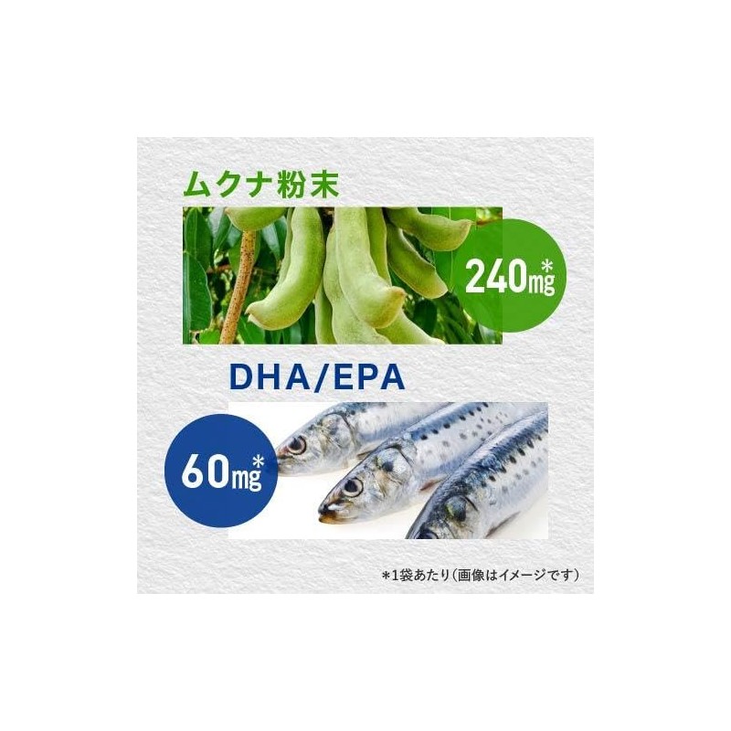 【医師監修】 ホスファチジルセリン 高配合 6,000mg イチョウ葉 2,739mg 国内製造 PS ZONE サプリ
