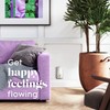 Glade PlugIns Refills Air Freshener, Scented and Essential Oils for