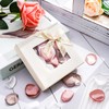 Whaline 300Pcs Silk Rose Petals with Box Taupe Light Bronze