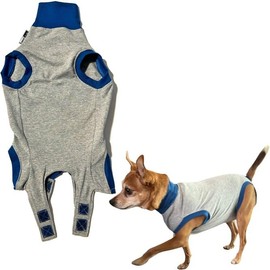 Recovery Suit for Cat & Dog, After Surgery, Abdominal Wound Recovery Suit, Prevent Licking, Collar Alternate, Surgical Suit for Male & Female Cat & Dog After Spay & Neuter (Grey, XS)