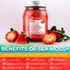 WELLNESS LABSRX Irish Sea Moss Gel Raw - Wildcrafted Superfood