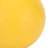 Dog Bouncing Ball Solid High Elasticity Toxic Free Floating Rubber