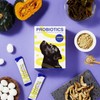 Dog Probiotics / 강아지 유산균 애견 프로바이오틱스