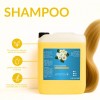 Shampoo Capilar De Manzanilla 5 Litros