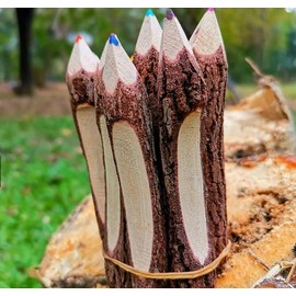 NUTTA - 10 Pencils Colored Wooden Pencils Rustic Branch & Twig Wood Pencil (5" inches)