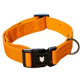 Fenrir Ragnar Dog Collar, Padded Neoprene, Breathable Nylon Pet Collar Adjustable for All Dog Breeds and Sizes (Orange, XL)