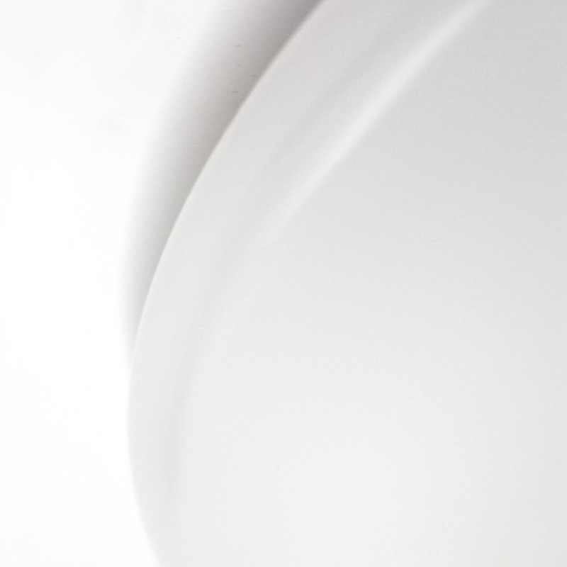 Lampenlux Alvaro-EVG Ceiling Light Opal Cover with EVG White Diameter