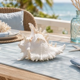 Natural Conch Shell, Real Large Conch Shell, Sea Shells for Vase Filler, Outdoor Shells, Air Plants, Beach Theme, Nautical Home Decor, Wedding Decor, Beach Theme Party, Aquarium Decoration 6-7''