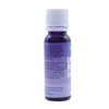 PME Food Colour Liquid - Violet (25ml)