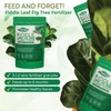 Fiddle Leaf Fig Tree Plant Food - Fertilizer Granules Feed