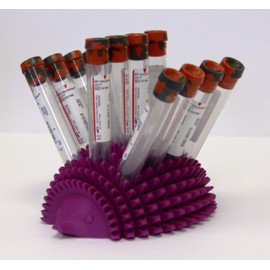 Test Tube Rack, 16mm Tube Size, Holds 12 Tubes, Fun Hedgehog Design (Purple)