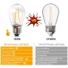 BRIMAX 30Pack 2W LED Light Bulbs E26 Edison Bulb for