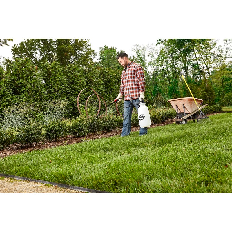 Roundup 190260 2-Gallon Lawn and Garden Sprayer for Controlling Insects