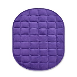 TONGDADA Weighted Lap Blanket 7lbs for Adult,Perfect for Relaxation, Lounging, Napping, Sleeping & Travel,Luxury Minky Weighted Body Blanket,Weighted Throw Blanket-Violet Minky, 29" x 24"