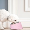 Bzyoo 16oz Tilted Dog Bowl for Small Dogs & Cats,