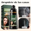 Champú para Teñir el Cabello,Champú para Cubrir Las Canas 500ml