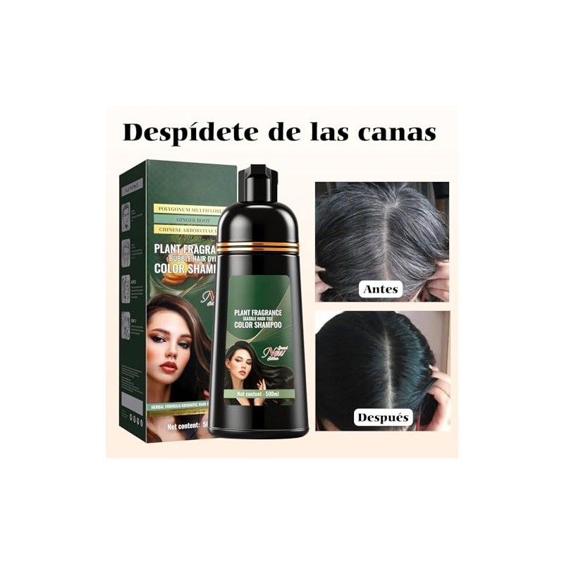 Champú para Teñir el Cabello,Champú para Cubrir Las Canas 500ml