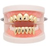 Psivika Gold Plated Shiny Hip Hop Teeth Grillz Caps Iced