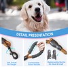 BAAPET 2/4/5/6 FT Dog Leash with Comfortable Padded Handle and
