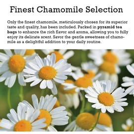 Damtuh Chamomile Tea – 100% Pure Chamomile, Caffeine-Free Herbal Tea, 10 Tea Bags (1g each)