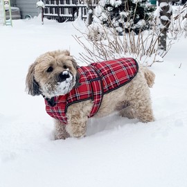 PetRageous 438RPLG Kodiak Heavyweight Waterproof Cold Weather Dog Coat with Full Chest Coverage and Leash Opening for Large Breeds, Red Plaid