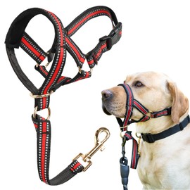 BARKLESS Muzzle Leash for Heavy Pullers, No Pull Stylish Head Halter for Medium Large Aggressive Dogs, Gentle Dog Face Harness Stops Pet Pulling and Choking on Walks, Adjustable Head Collar (XL, Red)
