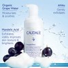 Caudalie Vinoperfect Brightening Daily AHA Micropeel 93.6g / 꼬달리 비노퍼펙트