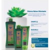 Salerm Biokera Tratamiento Cabello Seco Y Maltratado 1l C/u