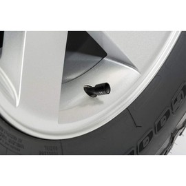 iPick Image for Ford Thunderbird in Black on Black Aluminum Cylinder-Style Tire Valve Stem Caps